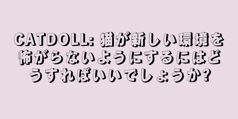 CATDOLL: 猫が新しい環境を怖がらないようにするにはどうすればいいでしょうか?