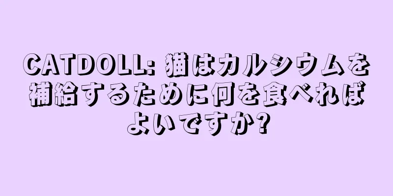 CATDOLL: 猫はカルシウムを補給するために何を食べればよいですか?