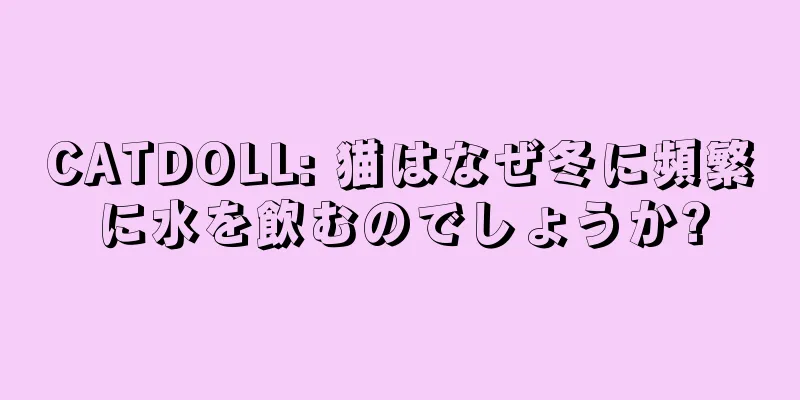 CATDOLL: 猫はなぜ冬に頻繁に水を飲むのでしょうか?