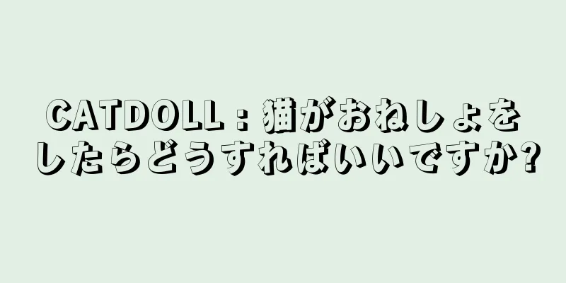 CATDOLL : 猫がおねしょをしたらどうすればいいですか?