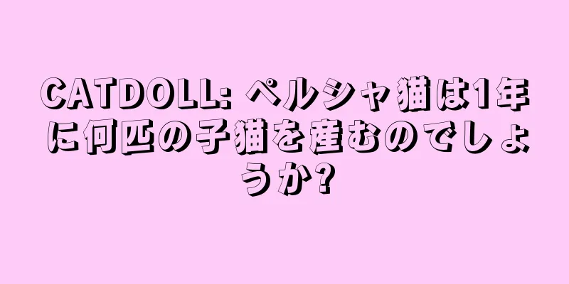 CATDOLL: ペルシャ猫は1年に何匹の子猫を産むのでしょうか?