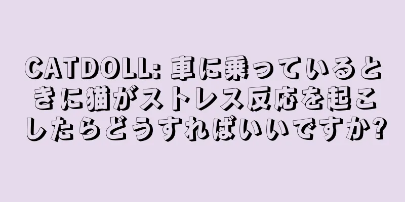CATDOLL: 車に乗っているときに猫がストレス反応を起こしたらどうすればいいですか?