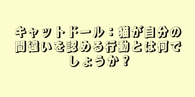 キャットドール：猫が自分の間違いを認める行動とは何でしょうか？