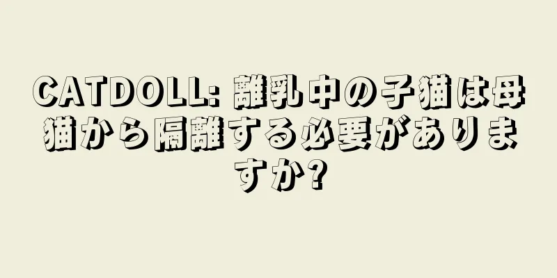 CATDOLL: 離乳中の子猫は母猫から隔離する必要がありますか?