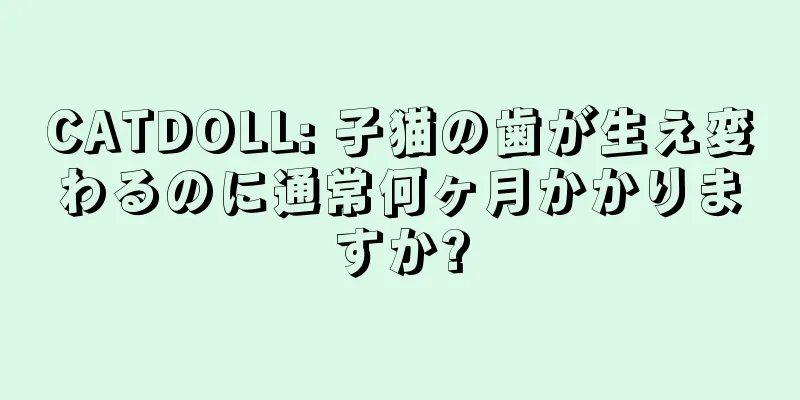 CATDOLL: 子猫の歯が生え変わるのに通常何ヶ月かかりますか?
