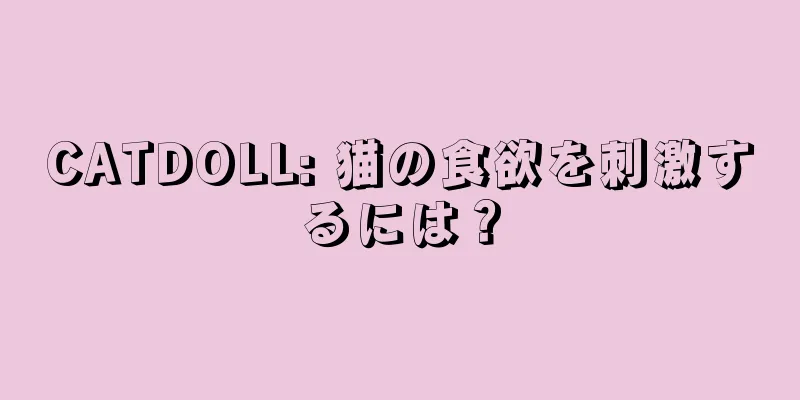CATDOLL: 猫の食欲を刺激するには？