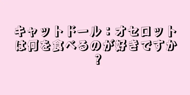 キャットドール：オセロットは何を食べるのが好きですか？