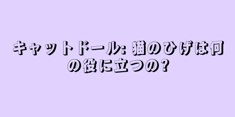 キャットドール: 猫のひげは何の役に立つの?