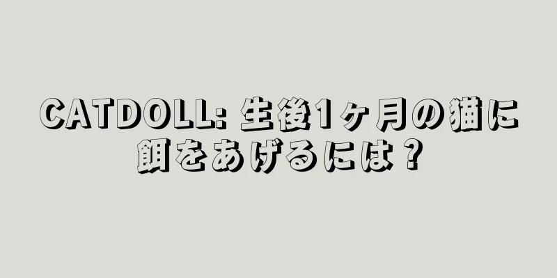 CATDOLL: 生後1ヶ月の猫に餌をあげるには？