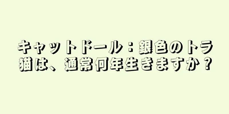 キャットドール：銀色のトラ猫は、通常何年生きますか？
