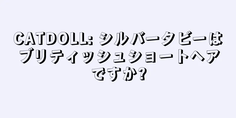 CATDOLL: シルバータビーはブリティッシュショートヘアですか?