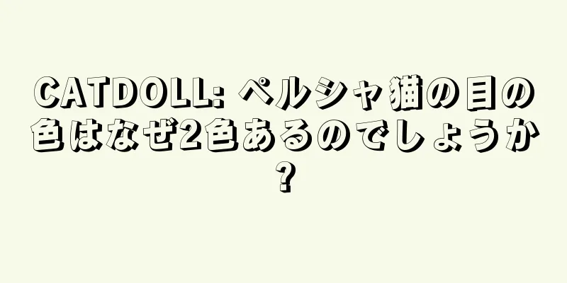 CATDOLL: ペルシャ猫の目の色はなぜ2色あるのでしょうか?