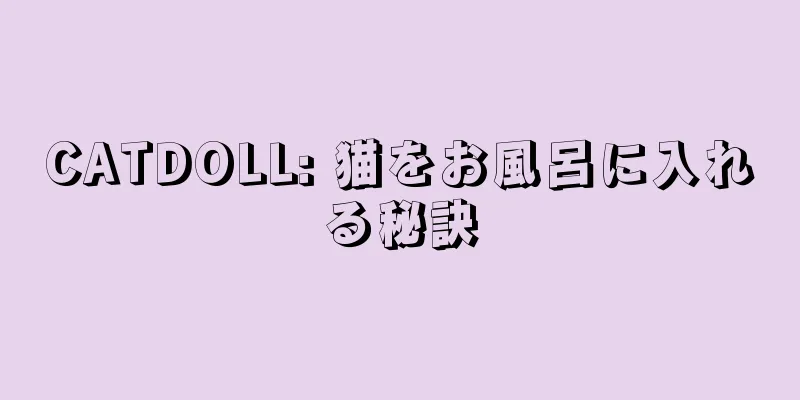 CATDOLL: 猫をお風呂に入れる秘訣