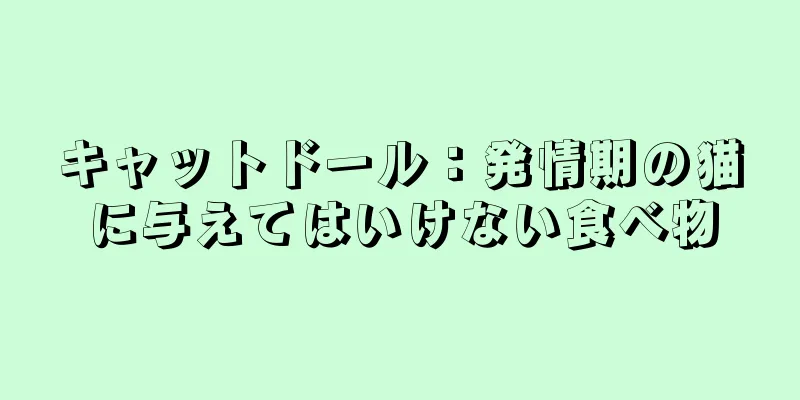 キャットドール：発情期の猫に与えてはいけない食べ物