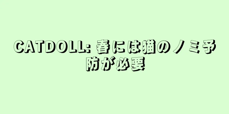 CATDOLL: 春には猫のノミ予防が必要