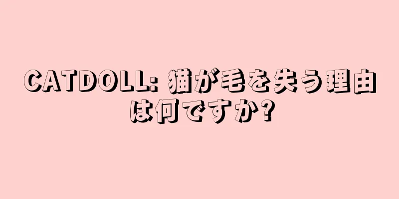 CATDOLL: 猫が毛を失う理由は何ですか?