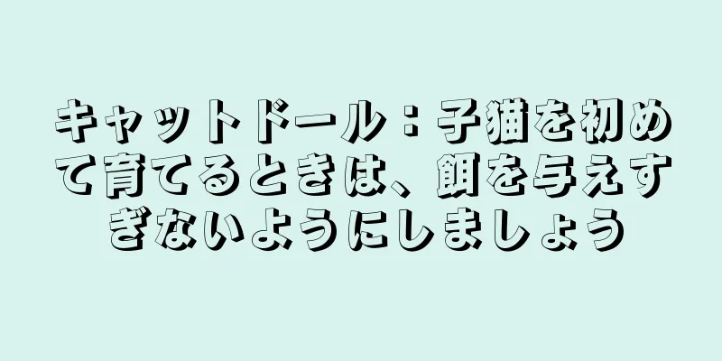 キャットドール：子猫を初めて育てるときは、餌を与えすぎないようにしましょう