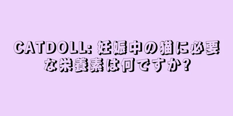 CATDOLL: 妊娠中の猫に必要な栄養素は何ですか?