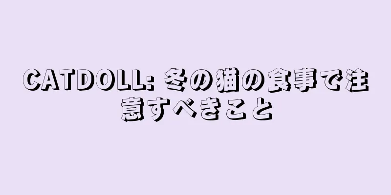 CATDOLL: 冬の猫の食事で注意すべきこと