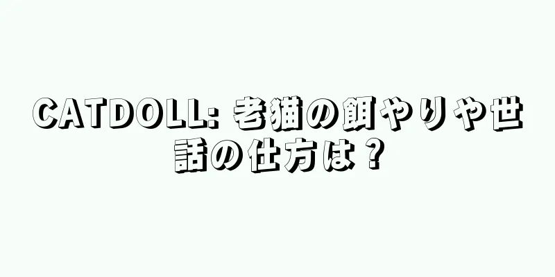 CATDOLL: 老猫の餌やりや世話の仕方は？
