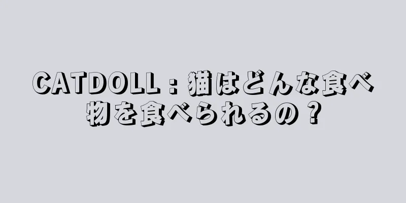 CATDOLL : 猫はどんな食べ物を食べられるの？