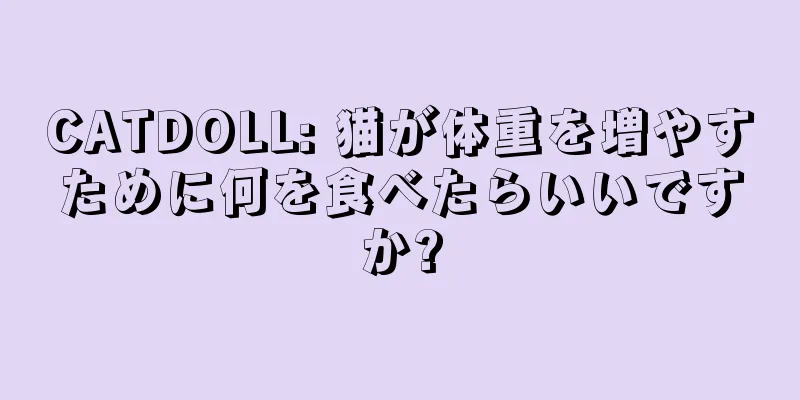 CATDOLL: 猫が体重を増やすために何を食べたらいいですか?