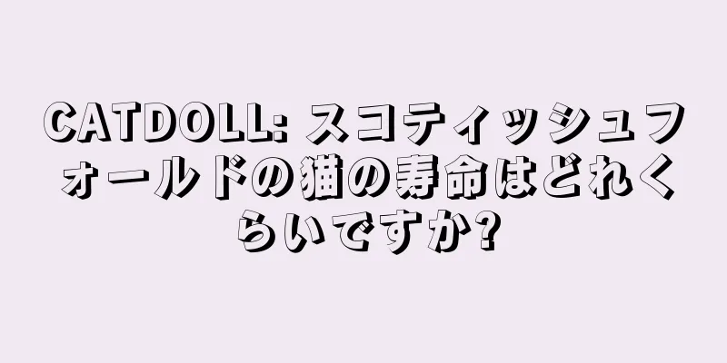 CATDOLL: スコティッシュフォールドの猫の寿命はどれくらいですか?