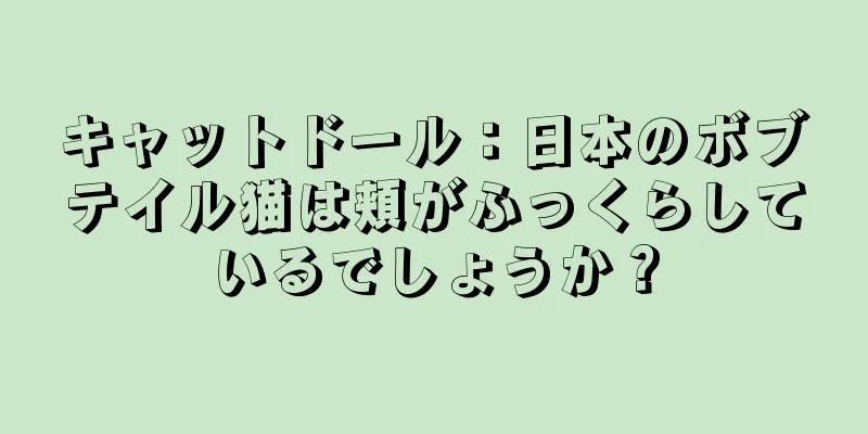 キャットドール：日本のボブテイル猫は頬がふっくらしているでしょうか？