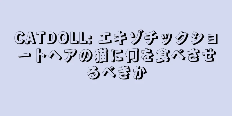 CATDOLL: エキゾチックショートヘアの猫に何を食べさせるべきか