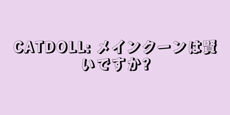 CATDOLL: メインクーンは賢いですか?