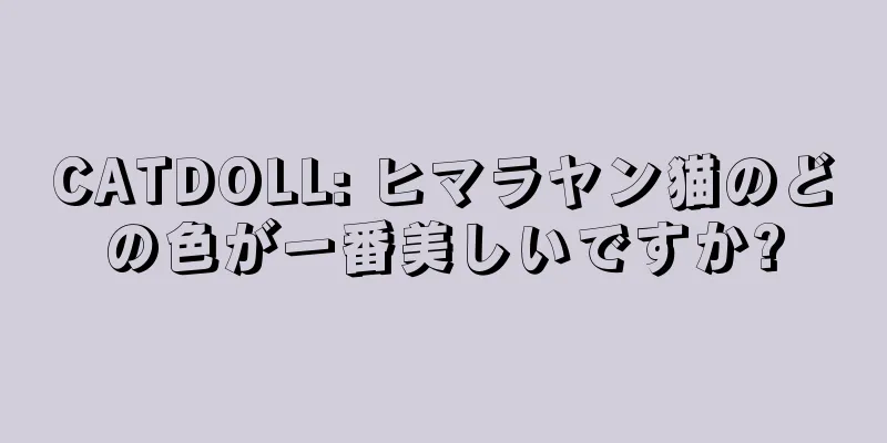 CATDOLL: ヒマラヤン猫のどの色が一番美しいですか?