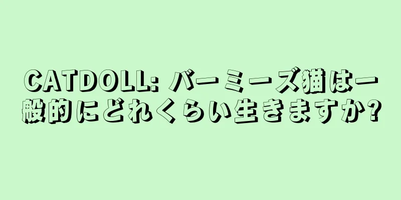 CATDOLL: バーミーズ猫は一般的にどれくらい生きますか?