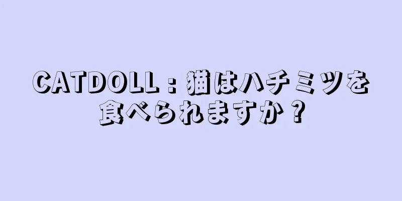 CATDOLL : 猫はハチミツを食べられますか？