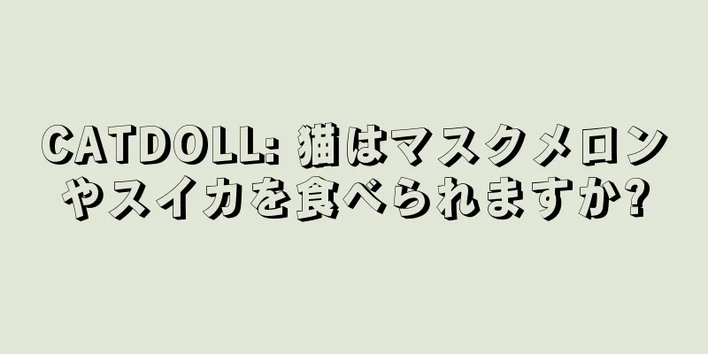 CATDOLL: 猫はマスクメロンやスイカを食べられますか?
