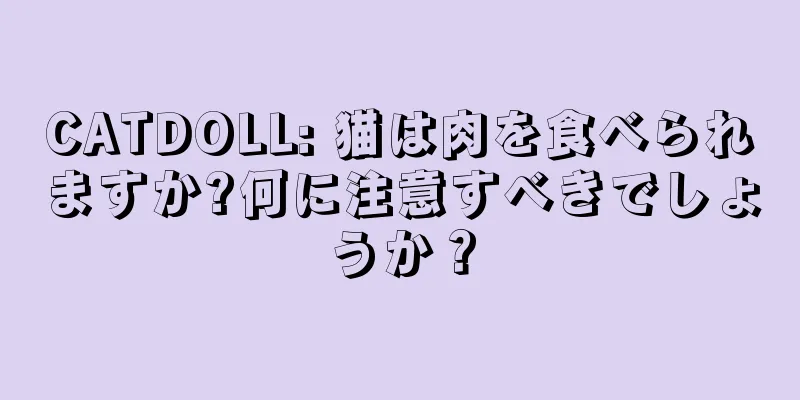 CATDOLL: 猫は肉を食べられますか?何に注意すべきでしょうか？