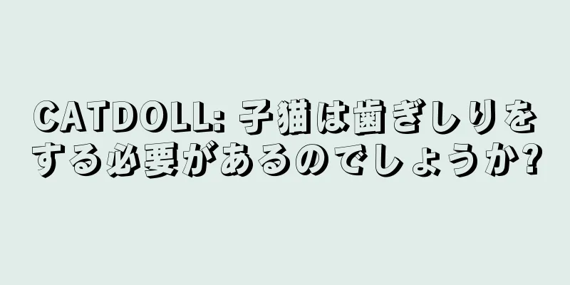 CATDOLL: 子猫は歯ぎしりをする必要があるのでしょうか?
