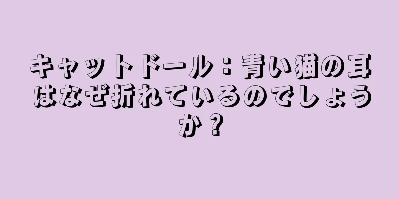 キャットドール：青い猫の耳はなぜ折れているのでしょうか？