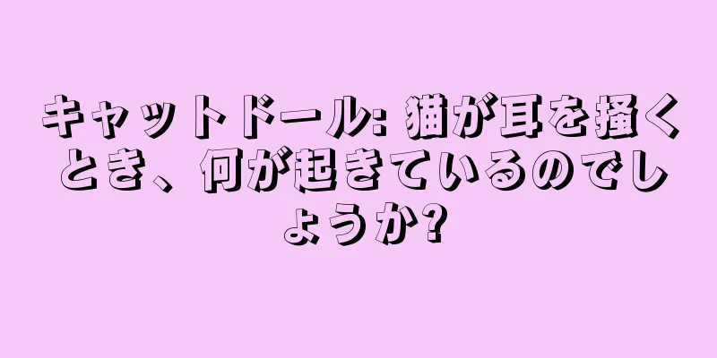 キャットドール: 猫が耳を掻くとき、何が起きているのでしょうか?