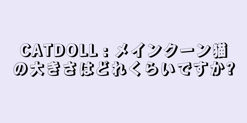 CATDOLL : メインクーン猫の大きさはどれくらいですか?