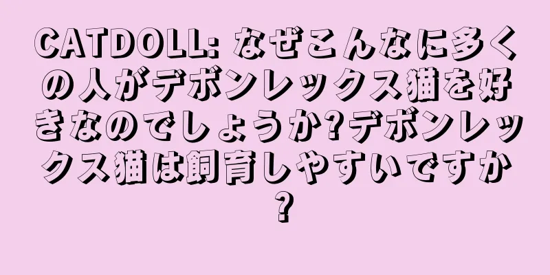 CATDOLL: なぜこんなに多くの人がデボンレックス猫を好きなのでしょうか?デボンレックス猫は飼育しやすいですか？