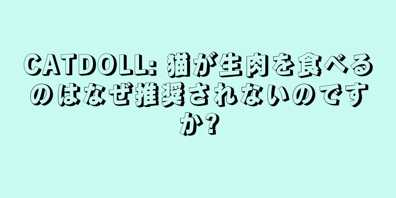 CATDOLL: 猫が生肉を食べるのはなぜ推奨されないのですか?