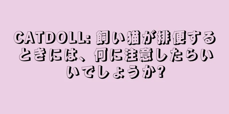 CATDOLL: 飼い猫が排便するときには、何に注意したらいいでしょうか?