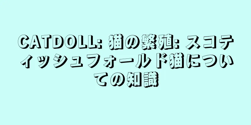 CATDOLL: 猫の繁殖: スコティッシュフォールド猫についての知識