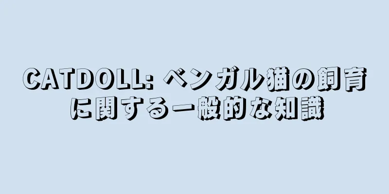 CATDOLL: ベンガル猫の飼育に関する一般的な知識
