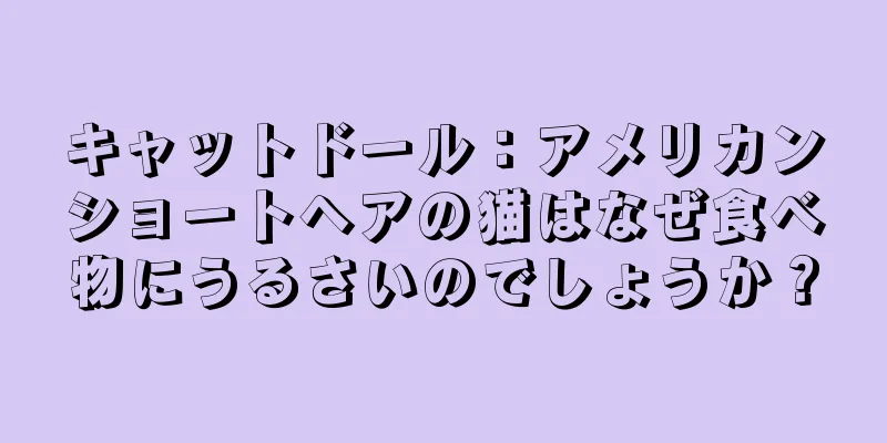 キャットドール：アメリカンショートヘアの猫はなぜ食べ物にうるさいのでしょうか？