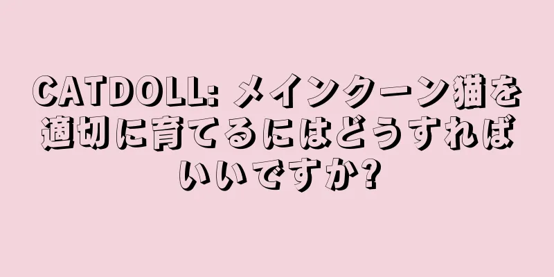 CATDOLL: メインクーン猫を適切に育てるにはどうすればいいですか?