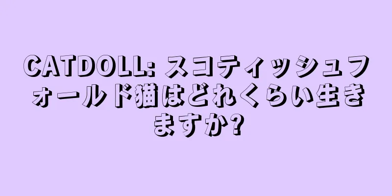 CATDOLL: スコティッシュフォールド猫はどれくらい生きますか?