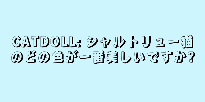 CATDOLL: シャルトリュー猫のどの色が一番美しいですか?