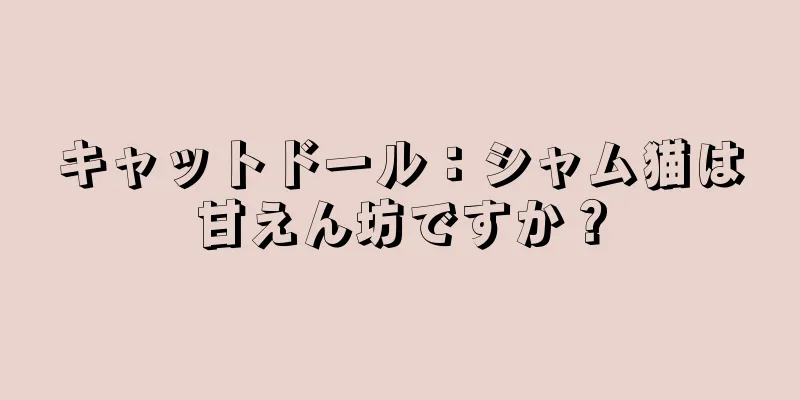 キャットドール：シャム猫は甘えん坊ですか？