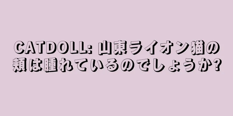 CATDOLL: 山東ライオン猫の頬は腫れているのでしょうか?